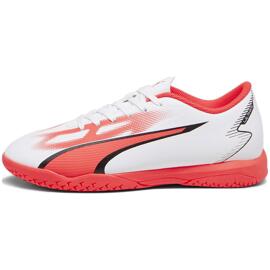 Hallenschuhe puma