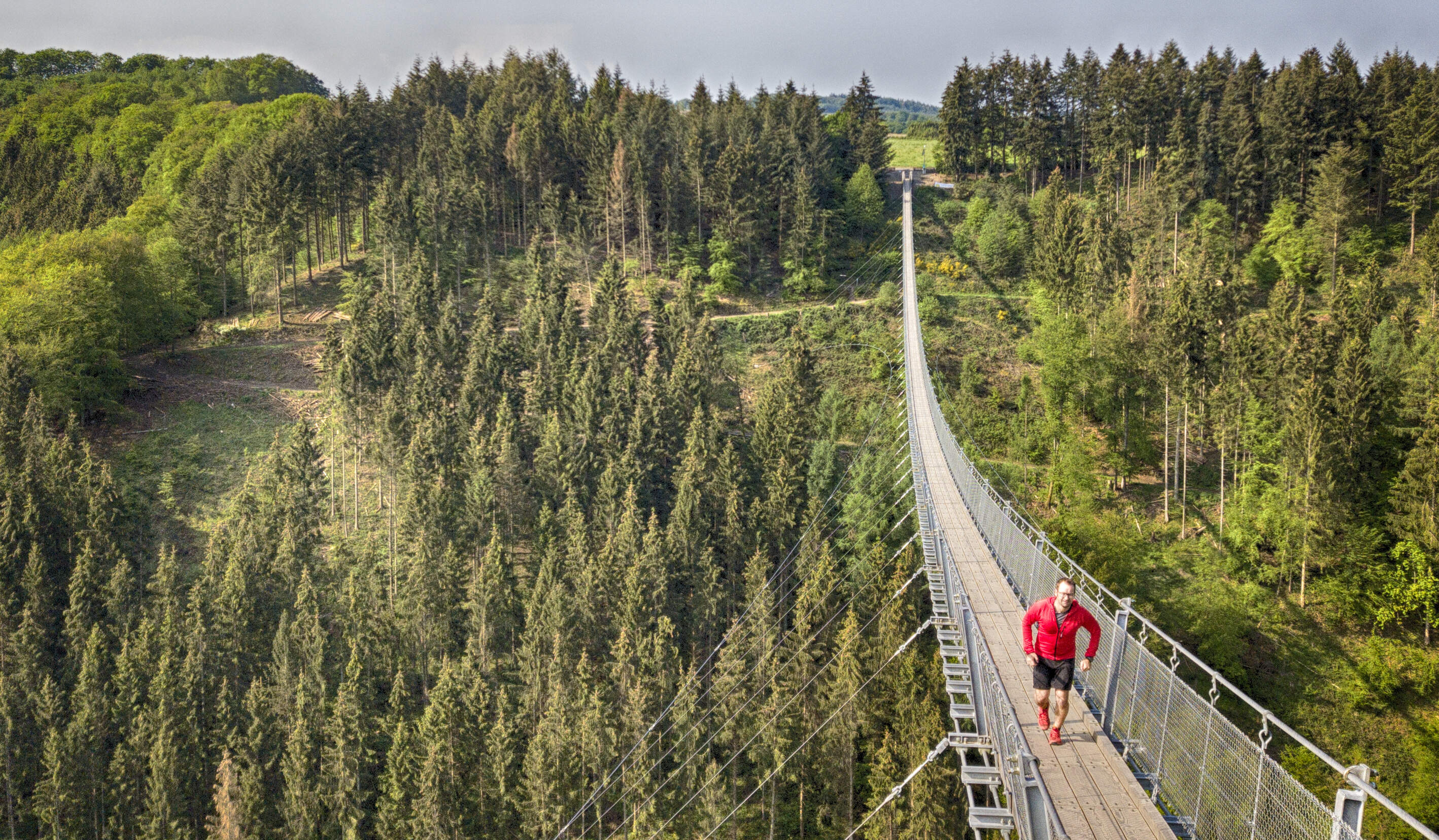 Geierlay Trailrunning