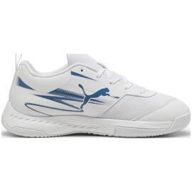 Hallenschuhe puma