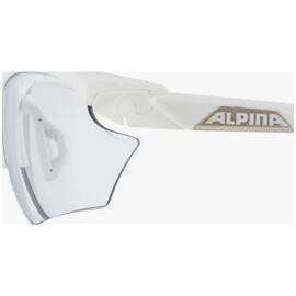 Sonnenbrillen alpina