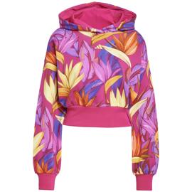 Pullover & Sweatshirts adidas