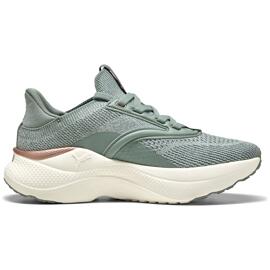 Laufschuhe puma