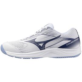 Volleyballschuhe mizuno