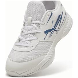 Hallenschuhe puma