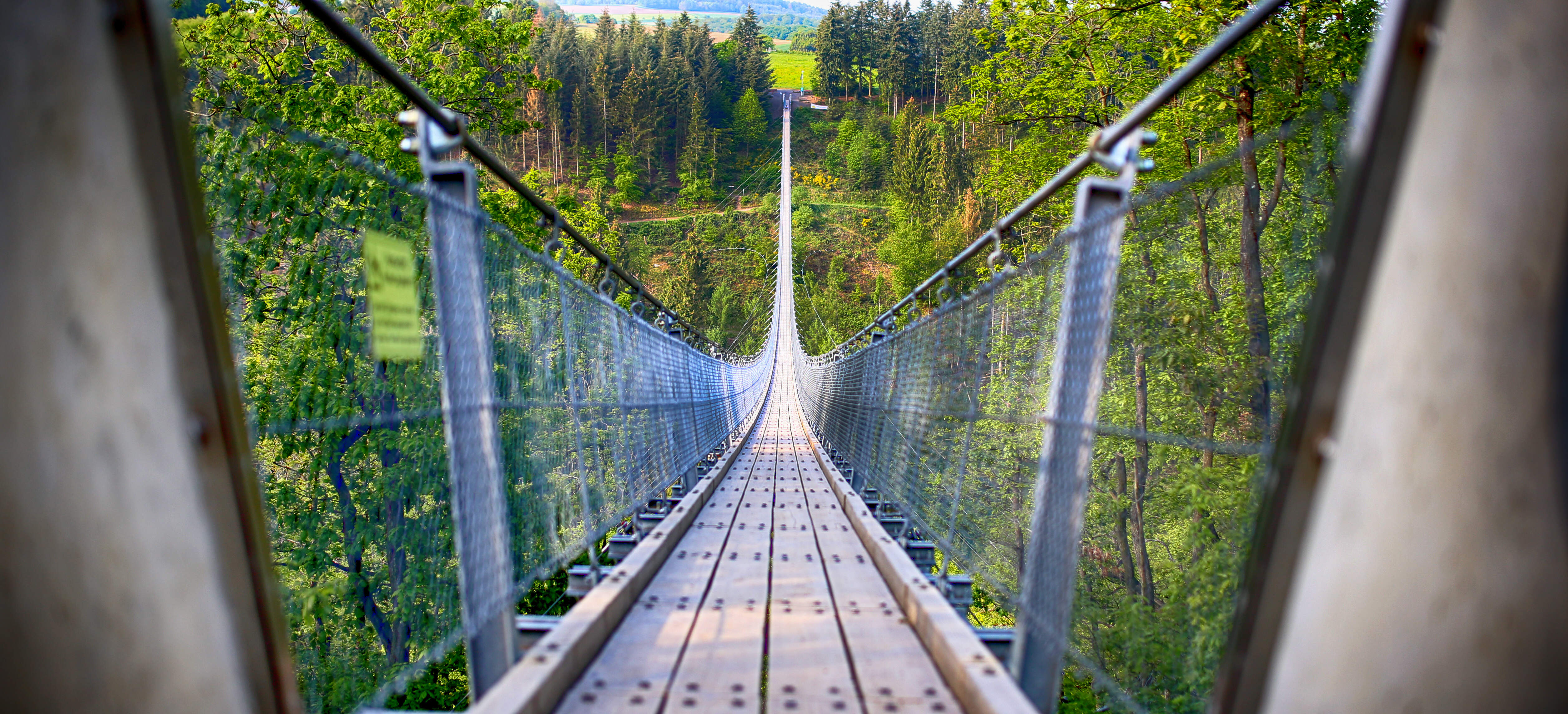 Geierlay Hängeseilbrücke