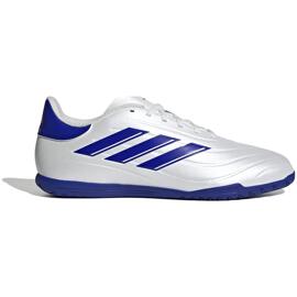 Hallenschuhe adidas
