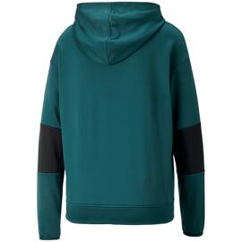 Pullover & Sweatshirts puma