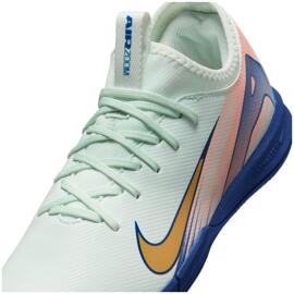 Hallenschuhe nike