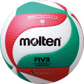 Volleybälle molten