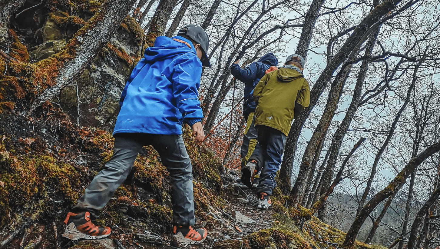 Screenshot 2025-02-19 085823.png