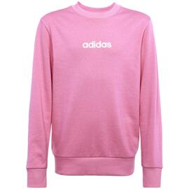 Pullover & Sweatshirts adidas