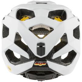Helme alpina