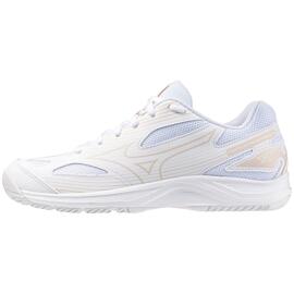 Volleyballschuhe mizuno