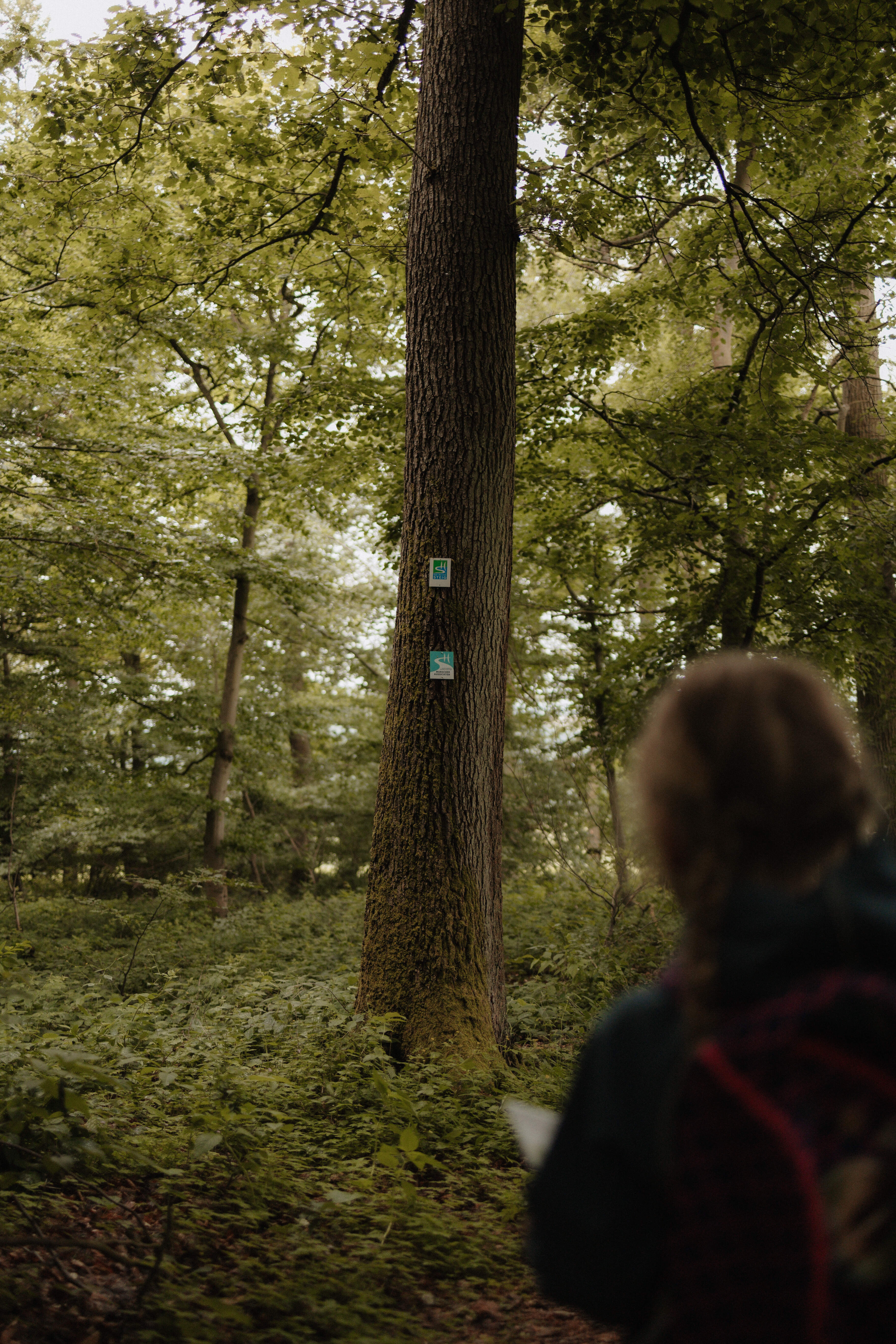 Auf Entdeckertour durch die Murscher Aussichten