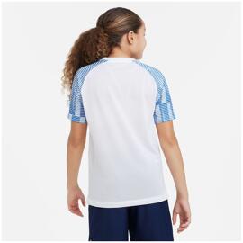 Trikots nike