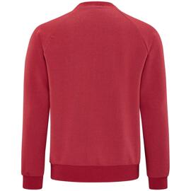 Pullover & Sweatshirts schneider