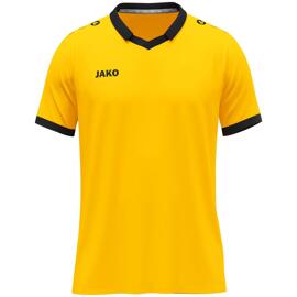 Trikots jako