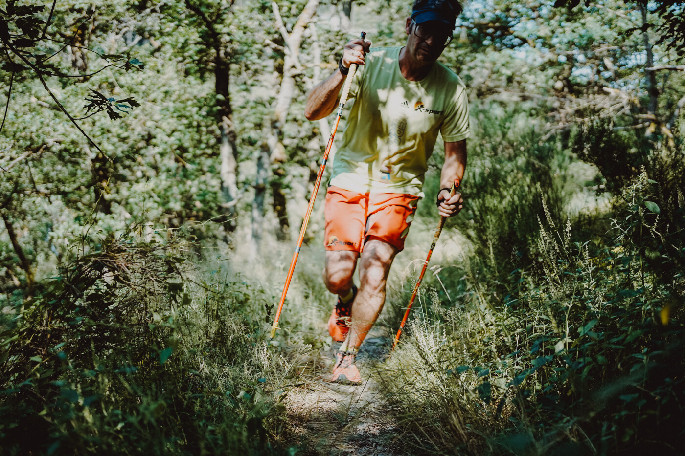 Trailrunning Stöcke Tipps