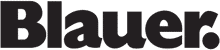 Blauer Logo