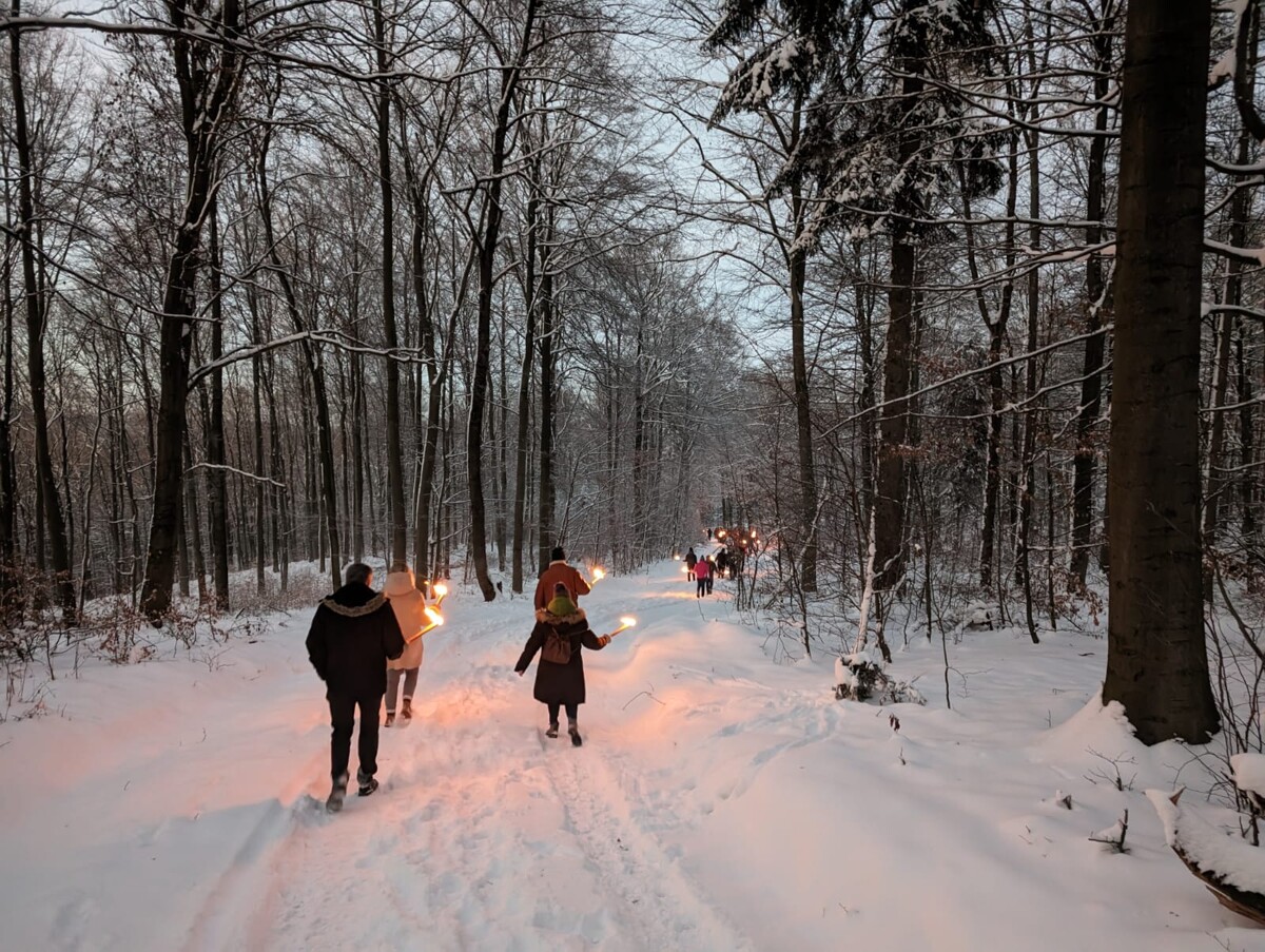 Wandern, Wild und Wein