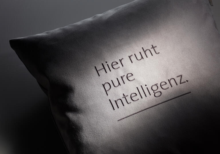 Designerkissen Ransbach-Baumbach