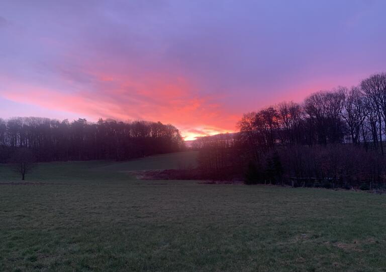 Bio Imkerei Likeit Altenkirchen