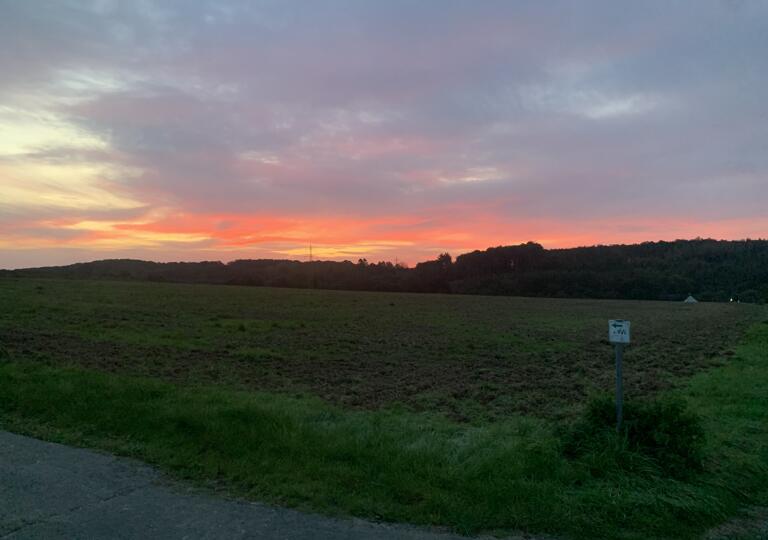 Bio Imkerei Likeit Altenkirchen