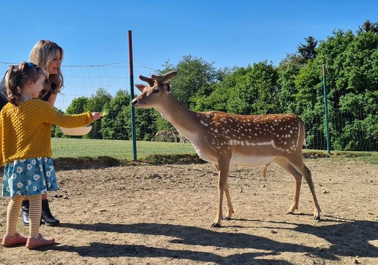 Wild und GUT Neustadt (Wied)