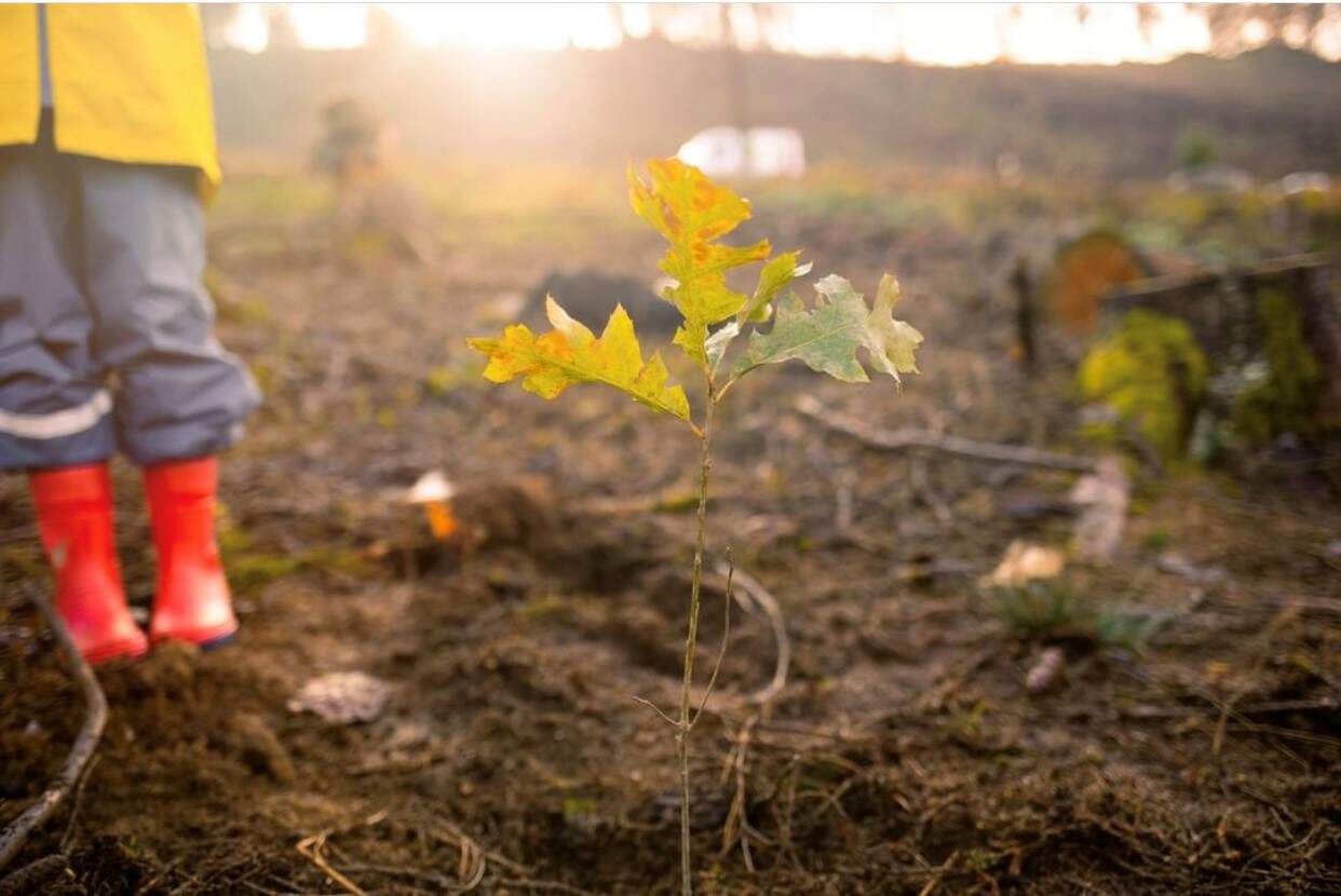 Wäller Helfen e.V. Oberroßbach