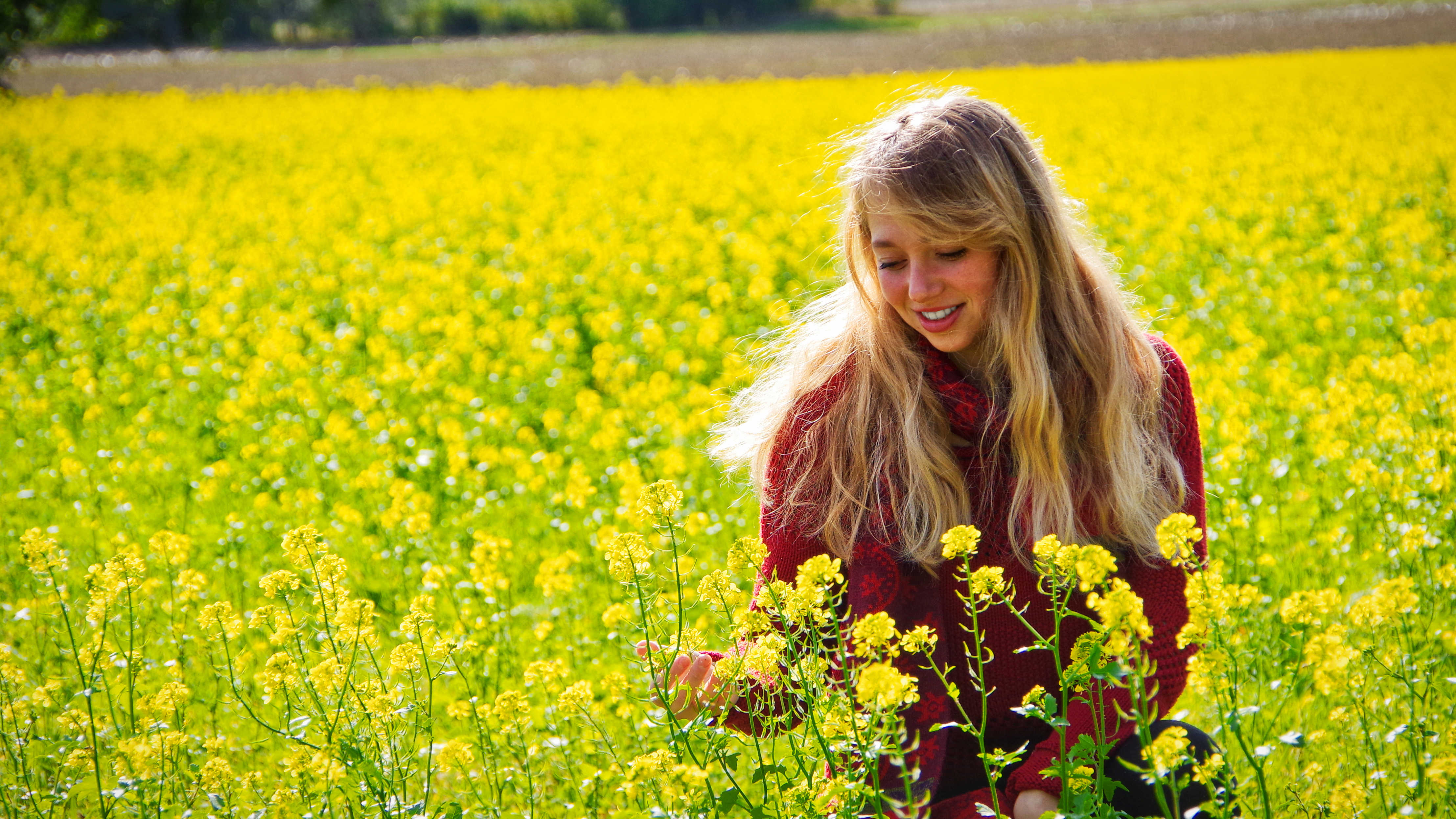 Mevlana Naturmühle Westerburg