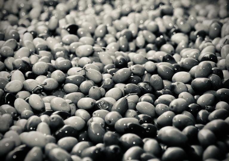 Via del Gusto Montabaur Montabaur