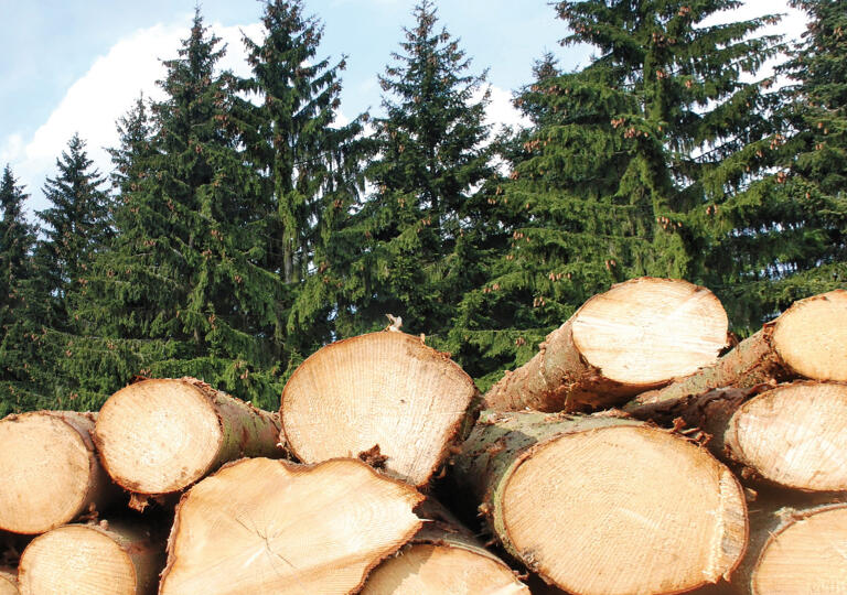 Westerwälder Holzpellets Langenbach